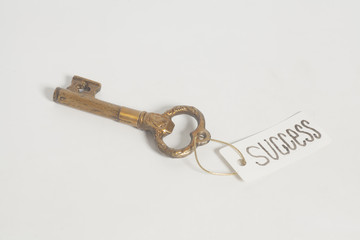 Vintage golden key on a keyring with tag success