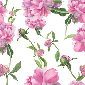 Watercolor. Collage of flowers and leaves on a white background.  Flowers and buds of a pink peony. Decorative composition on a watercolor background. Seamless pattern.