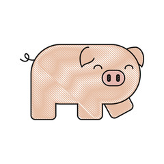 cute pig icon
