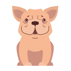 Cute small dog cartoon flat vector icon
