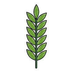 Fototapeta premium laurel leaf isolated icon