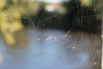 web