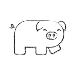 cute pig icon