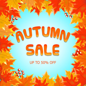Autumn sale vectordesign with autumn sale text in blue background and collection of fall seasonal leave boarder frame. Vector illustration
