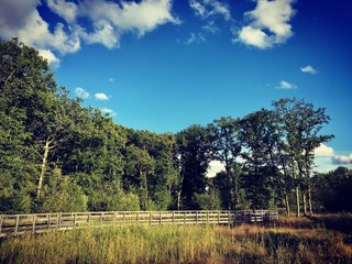 Forêt au début de l'automne