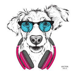 Dog in glasses and headphones. Vector illustration. - 173012094