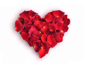 Beautiful red rose petals heart