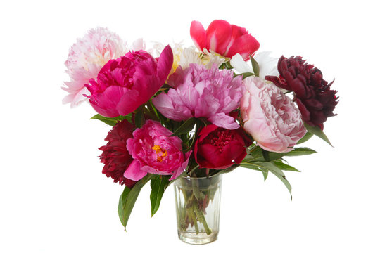 A chic bouquet of peonies isolated on white background.