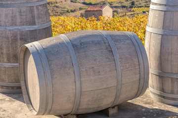  tonneaux sur fond de vignes des Côtes Catalanes 