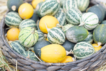 Autumn decoration with pumpkins on wooden plate