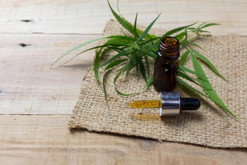 Medicinal cannabis with extract oil in a bottle