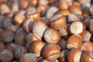 Hazelnuts