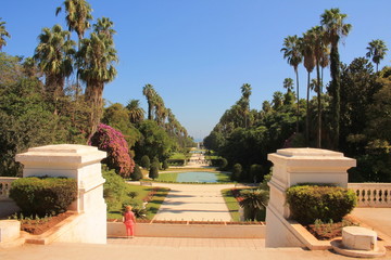 Le Jardin d'essai du Hamma à Alger, Algérie © Picturereflex