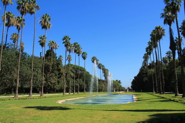 Le Jardin d'essai du Hamma à Alger, Algérie © Picturereflex