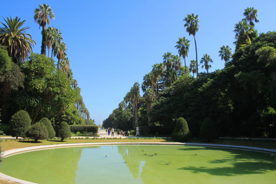 Le Jardin d'essai du Hamma à Alger, Algérie