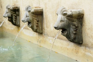 Fototapeta na wymiar Lion statue spitting water vintage style in garden