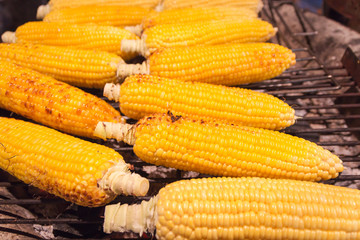 Grilled sweet corn on the charcoal stove
