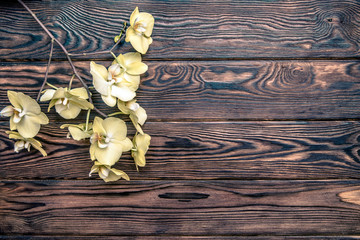     Branch of a yellow orchid on a brown wooden background 