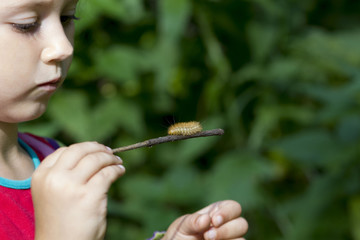 girl holding a caterpillar on a stick