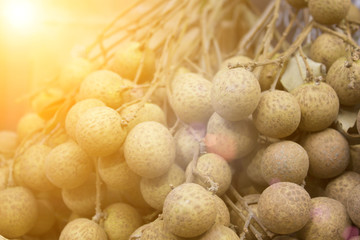 Close up of Longan in basket