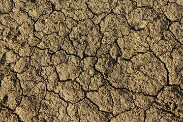 Dry cracked earth background, clay desert texture