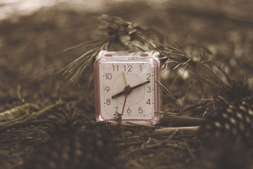 closeup of an alarm clock adjusting , surrounded by dry leaves and pine cones