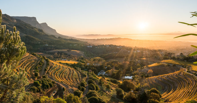 Eagle's Nest Winery