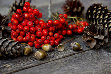 Autumn style. Rowan and cones on a wooden table