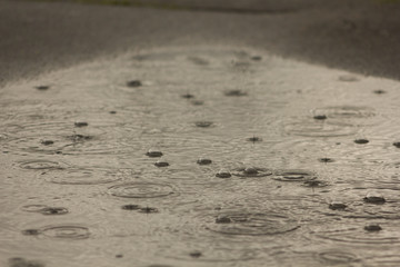 rain drops on the surface of water in a puddle