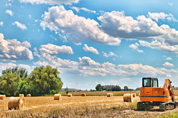 Fototapeta premium Rolled blaes of hay lie in a farm field