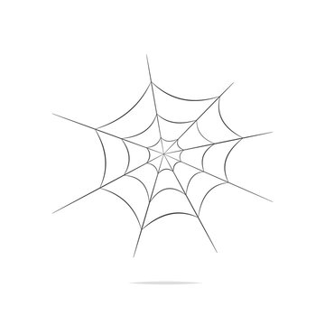 Spider web vector isolated illustration