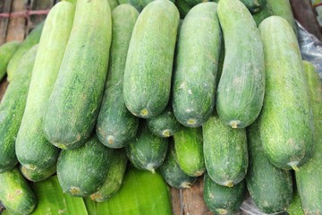 Fresh cucumbers for cooking in the market
