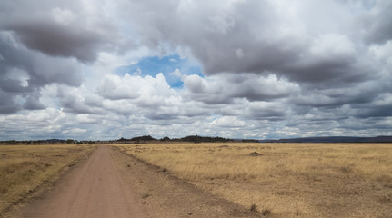 Gathering clouds over Serengeti grassland