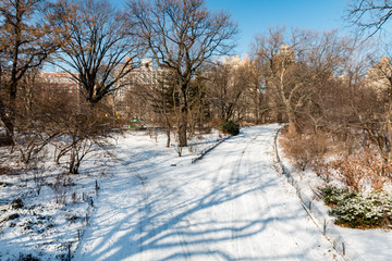 New York City's Central Park in the snow