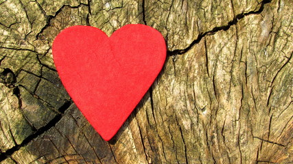 La forza dell'amore - Cuore
