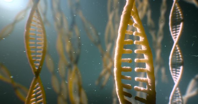 dna strand structure seamless loopable animation 4k UHD