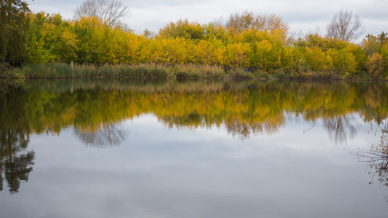 A small lake in the Park, the yellowing trees along the shore. The reflection of sky and trees in the water of the lake. A beautiful scenic place