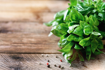 Green fresh organic basil on wooden background with copyspace. Herbs and spices for cooking