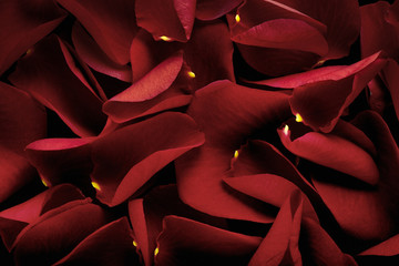 Red rose petals