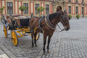 Naklejka na ściany i meble Traditional horse carriage in Seville, Andalusia, Spain
