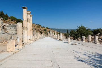 Naklejka premium Columns of a typical Roman Basilica in Ephesus, Turkey.