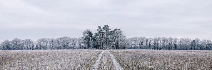 Rural scene covered in a thick hoar frost. Norfolk, UK.
