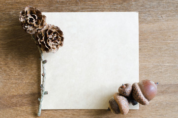 Empty Paper Sheet With Acorns and Cones.