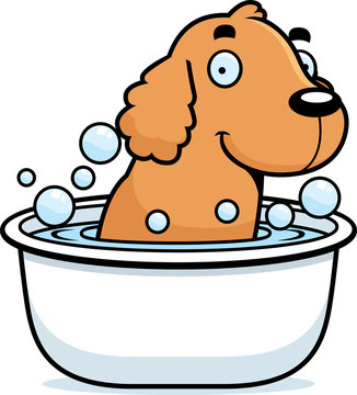 Cartoon Cocker Spaniel Bath