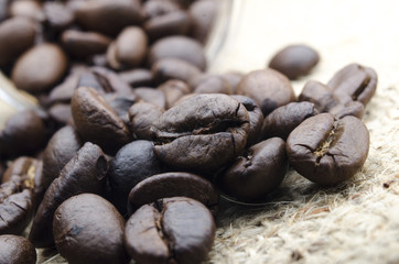 coffee bean roast in macro style , coffee bean, 