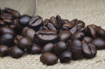 coffee bean roast in macro style , coffee bean, 