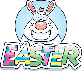 Cartoon Easter Bunny Graphic