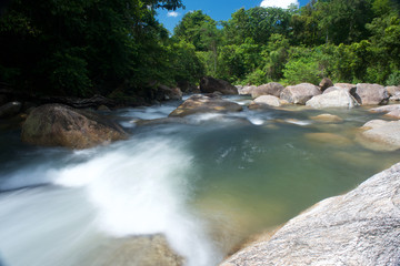 River in the Jungle