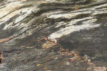 Old wooden beauty wall background and texture
