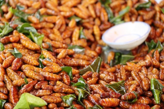 Fried silk worms delicious in street food
